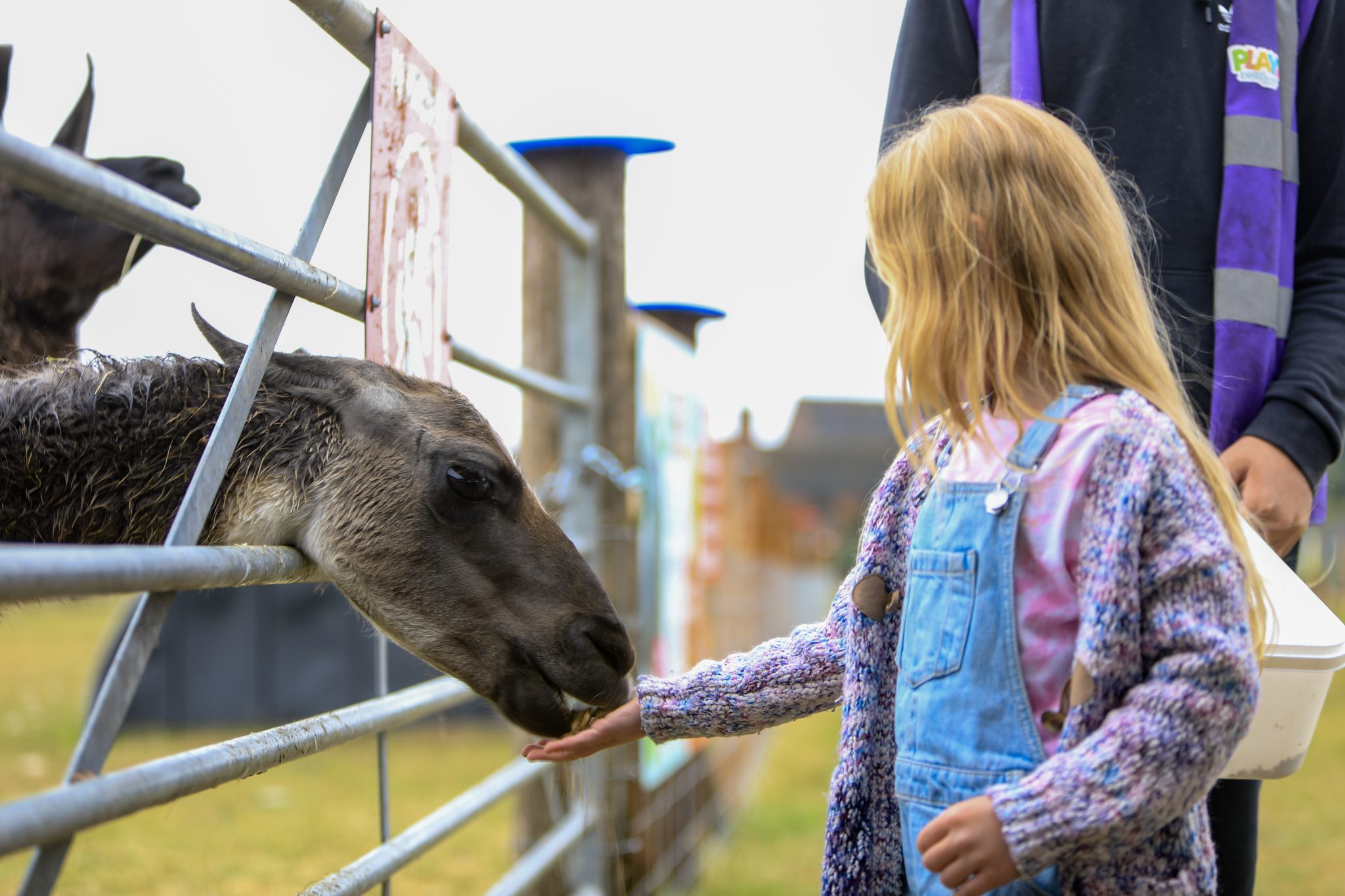 fun-days-out-for-families-in-staffordshire-over-easter-we-are